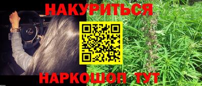дмт Славгород