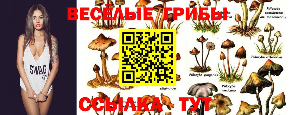 Псилоцибиновые грибы Magic Shrooms Чебаркуль
